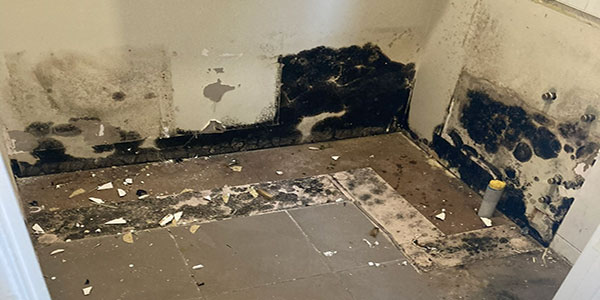 Best Budget Total Cleaning Portsea Rosebud Dromana Mornington Frankston