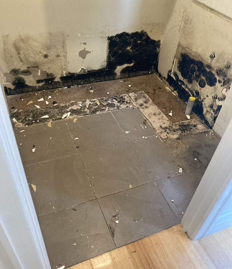 Mould Removal Remediation Portsea Rosebud Dromana Mornington Frankston
