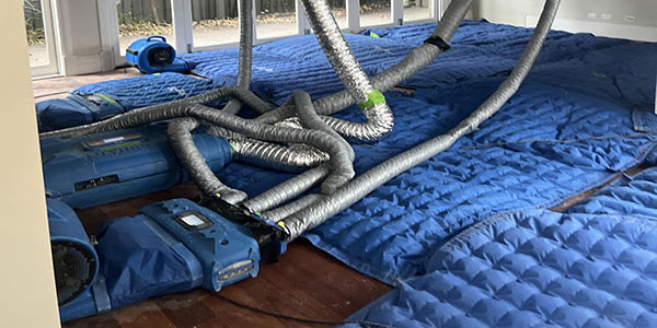 Best Budget Total Cleaning Portsea Rosebud Dromana Mornington Frankston