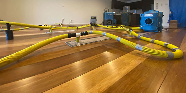 Best Timber Floor Water Damage Restoration Portsea Rosebud Dromana Mornington Frankston