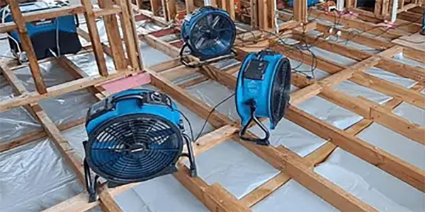 Best Timber Floor Water Damage Restoration Portsea Rosebud Dromana Mornington Frankston